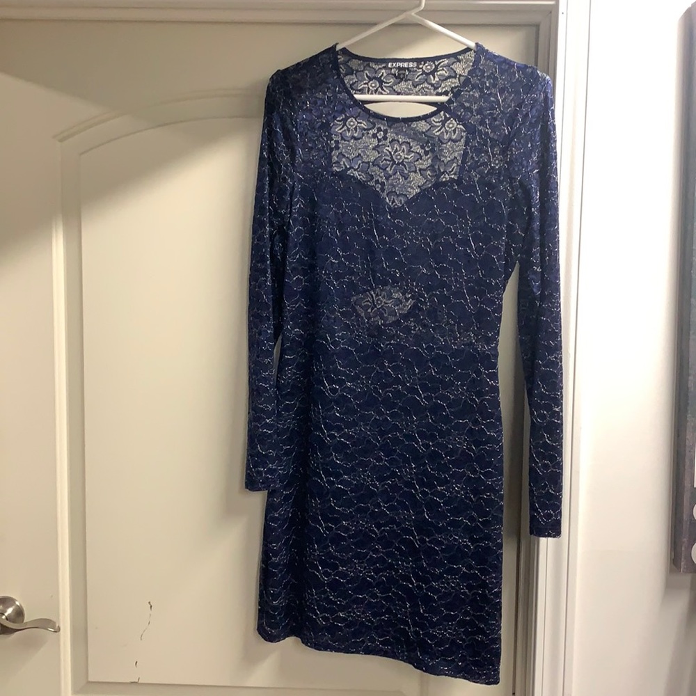 Express long sleeve dress